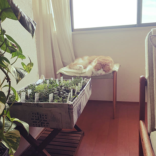 uchidaizuさんの実例写真