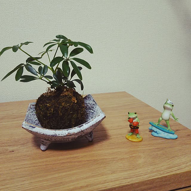 koronさんの実例写真