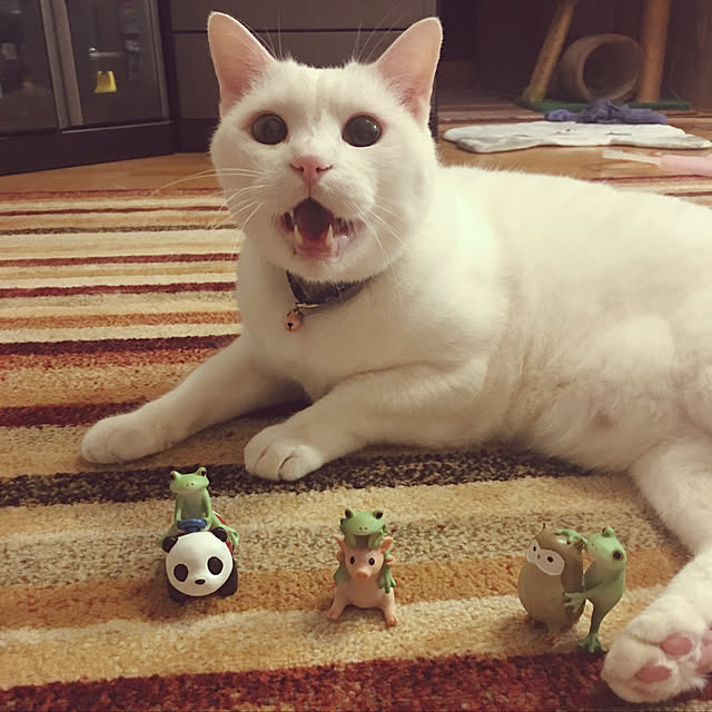 実例写真