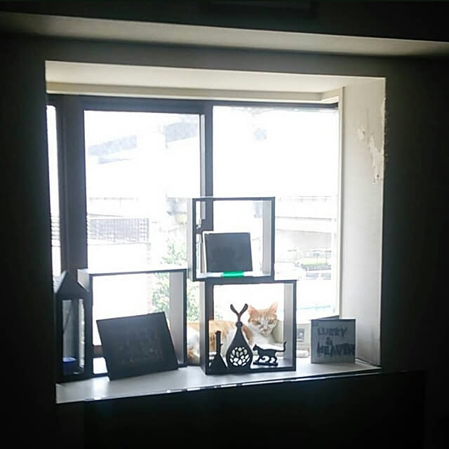 noguchiken0102さんの実例写真