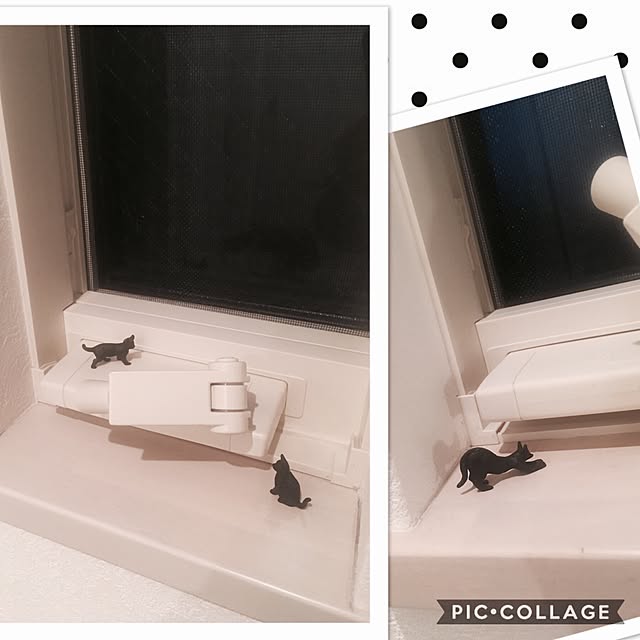 chi.nyanさんの実例写真