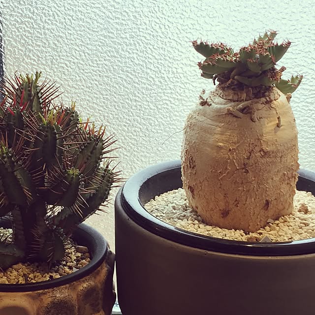 M.okuさんの実例写真