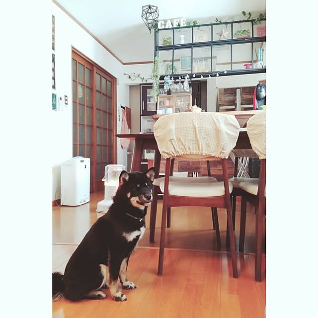 annさんの実例写真