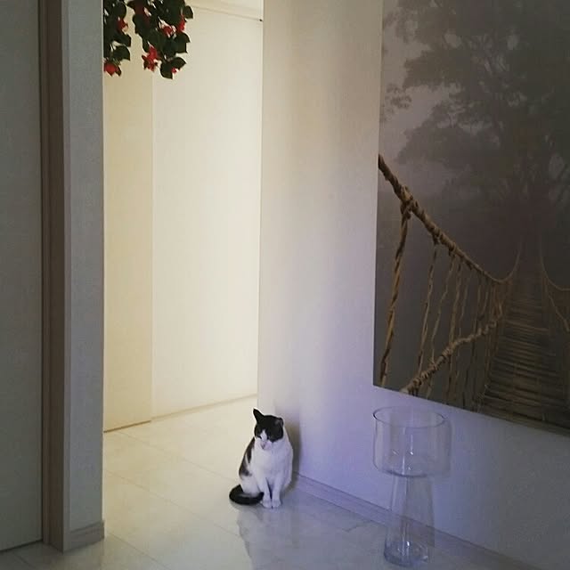 runayucoさんの実例写真
