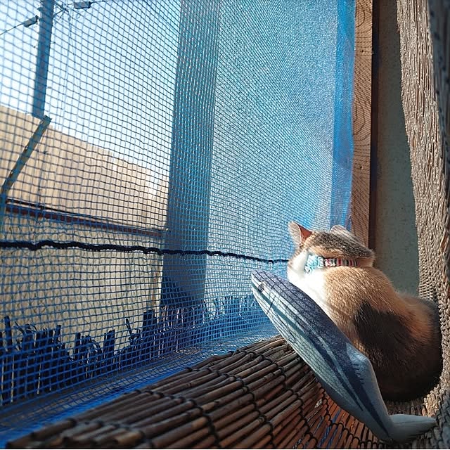 fukuさんの実例写真