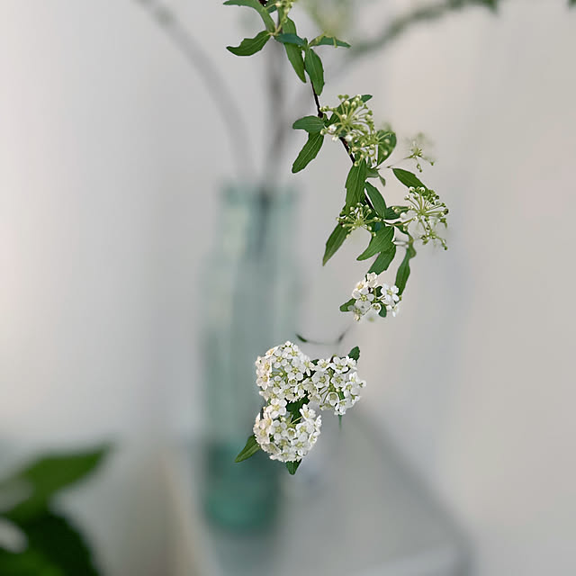 hanahana1444さんの部屋