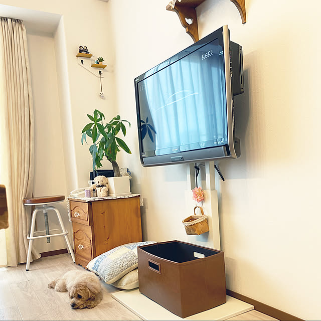 akoさんの実例写真