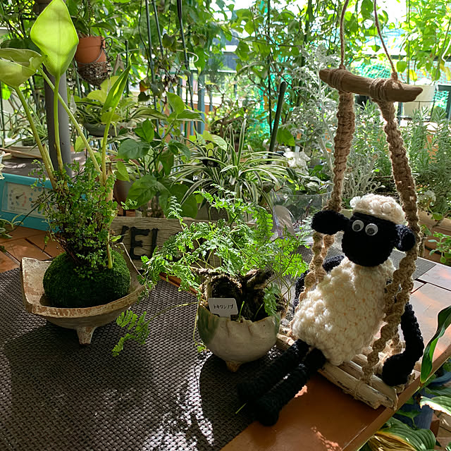 Aqettyさんの部屋
