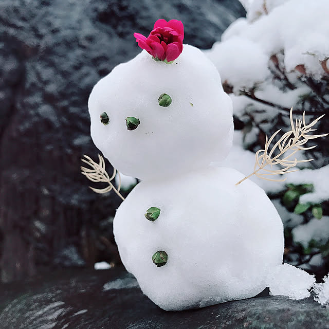 canmilmamaさんの実例写真