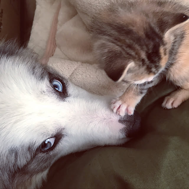 myさんの実例写真