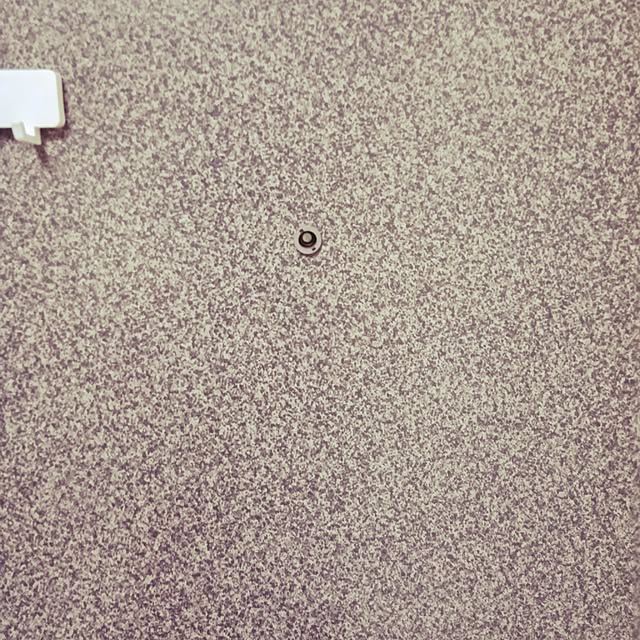 Spicaさんの実例写真