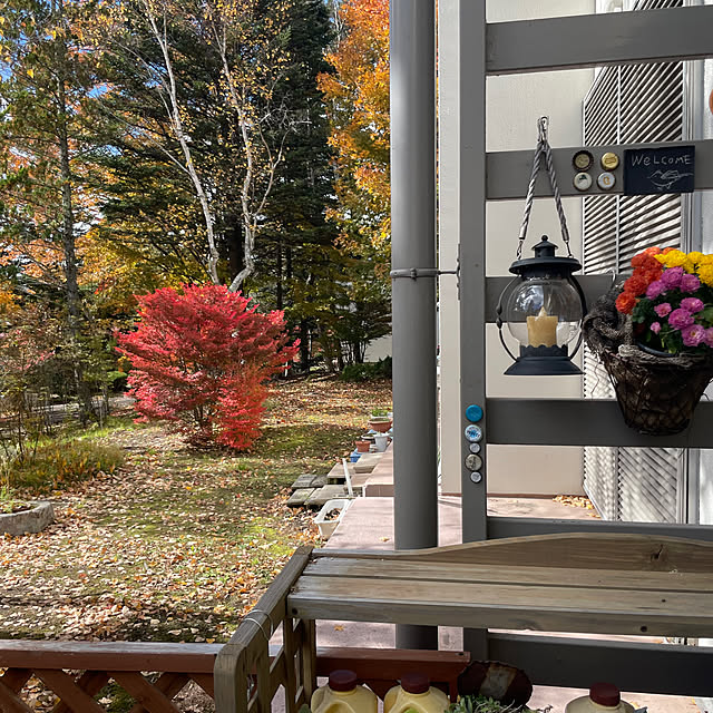 sasaさんの実例写真