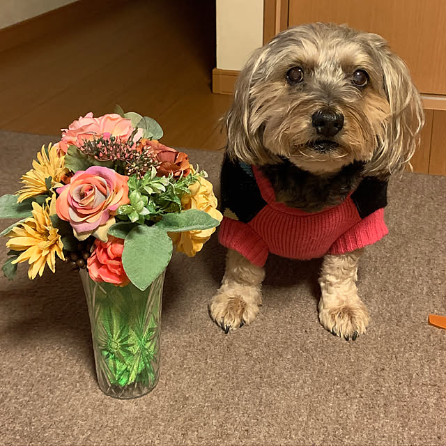 Annieさんの実例写真