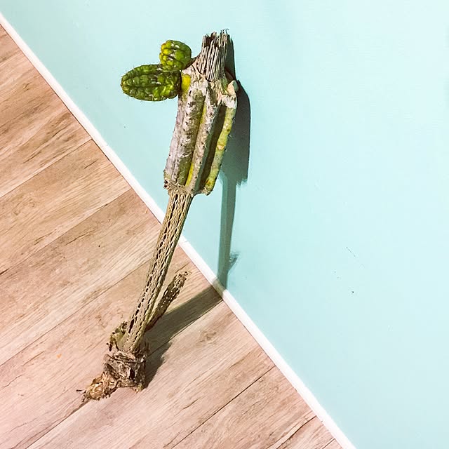 ctaさんの実例写真