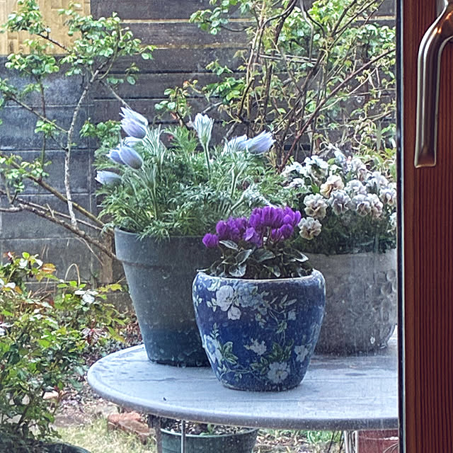 rokokoさんの部屋