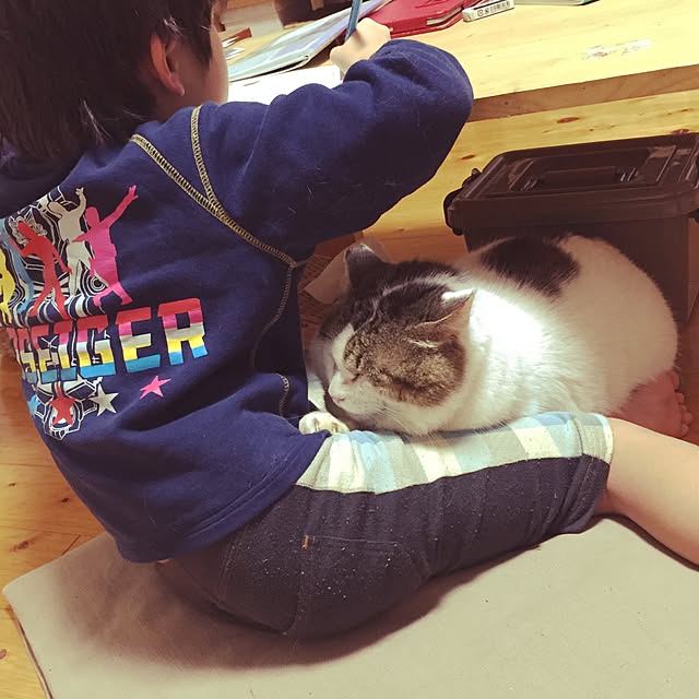 chiimalさんの実例写真