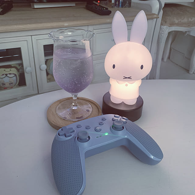 chisouさんの実例写真
