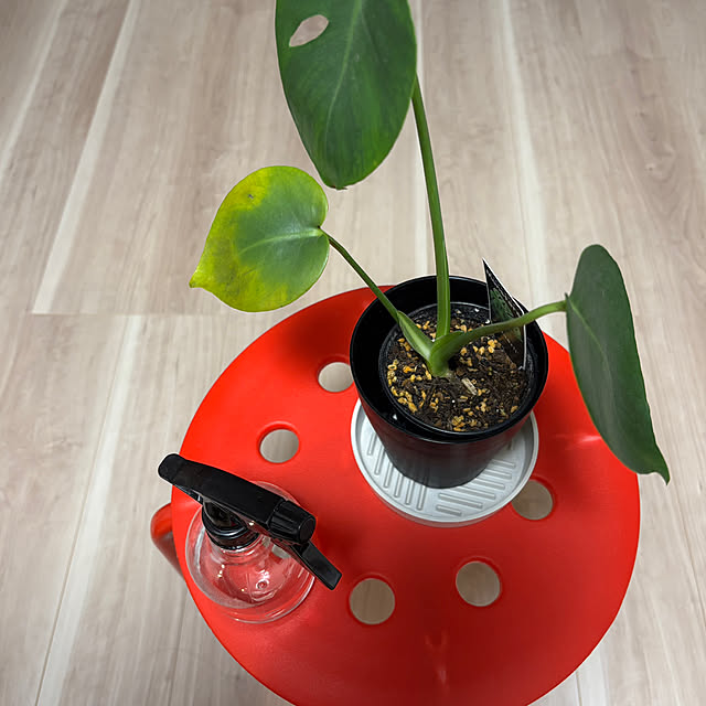 yuuuuuu6868さんの実例写真