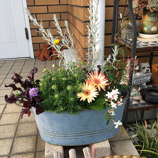 chIoeさんの実例写真