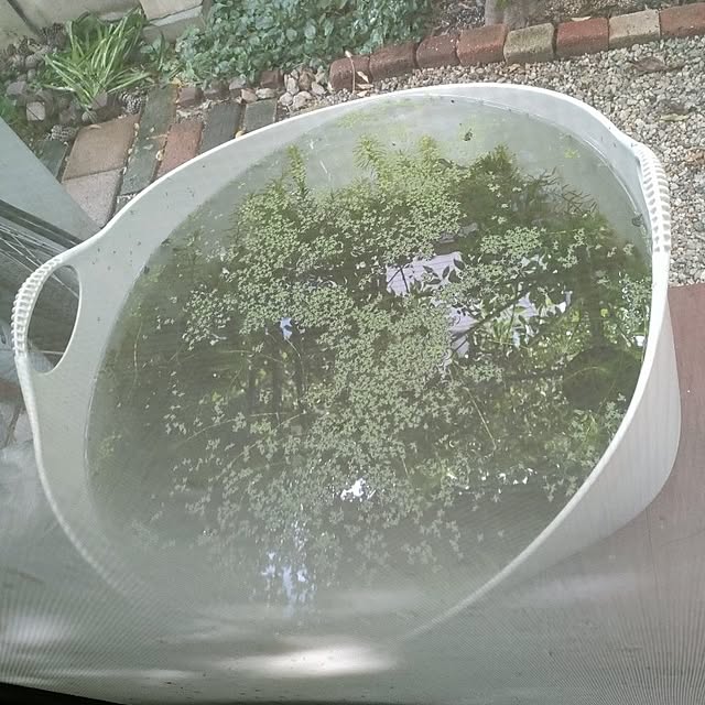 mori_6_12さんの部屋
