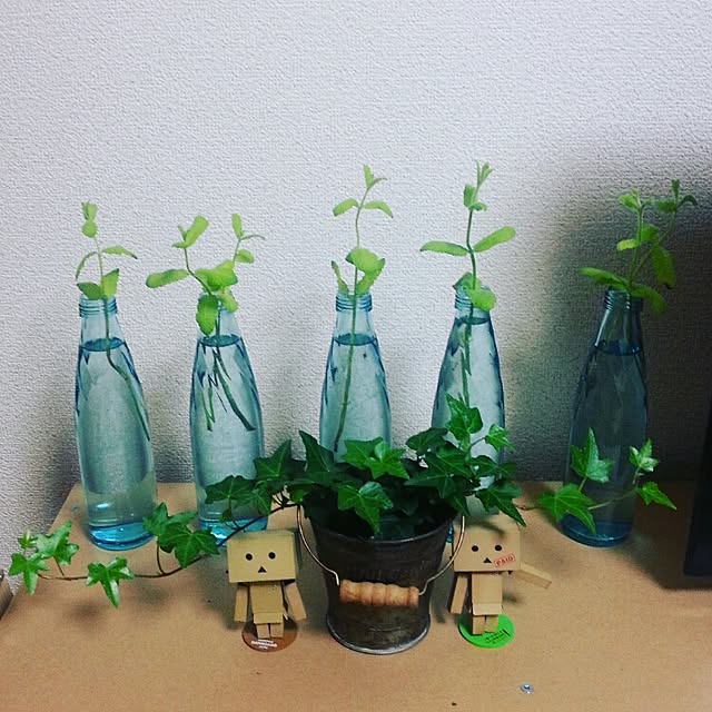 pinotellさんの実例写真