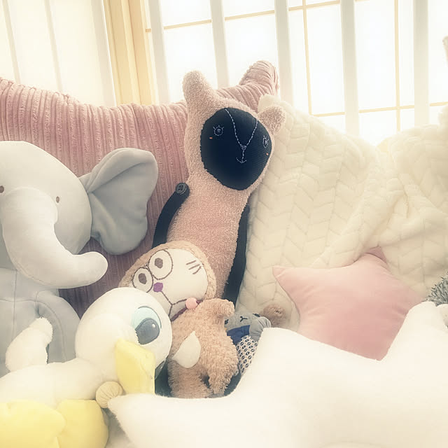 BOWさんの実例写真