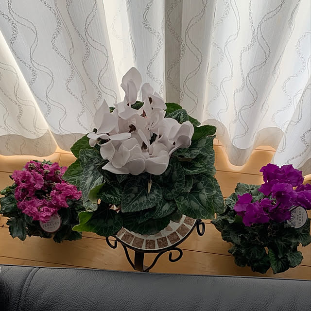 yukarin-gardenさんの実例写真