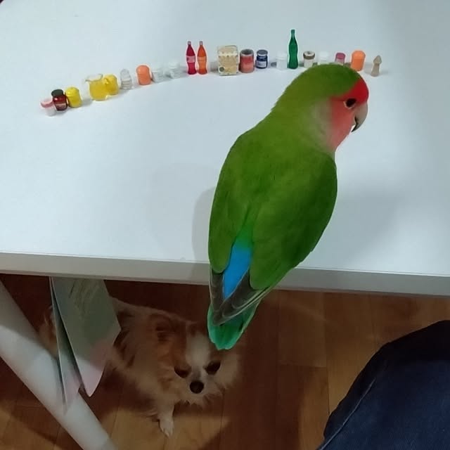 toratanさんの部屋