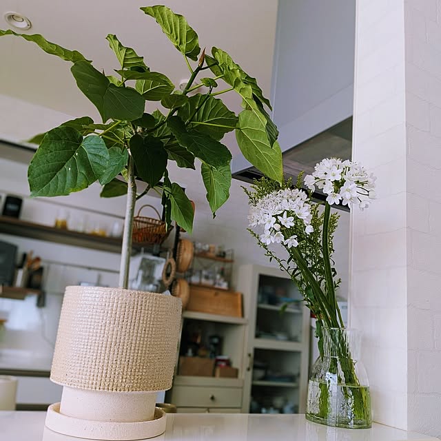 kumijiさんの実例写真