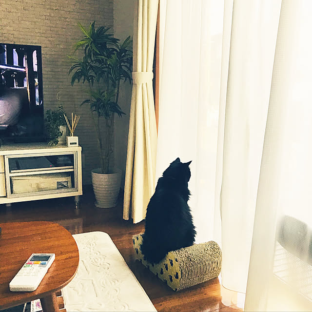 minamiさんの実例写真