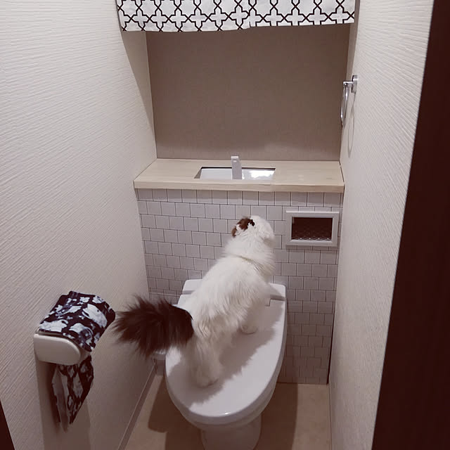 muuさんの実例写真