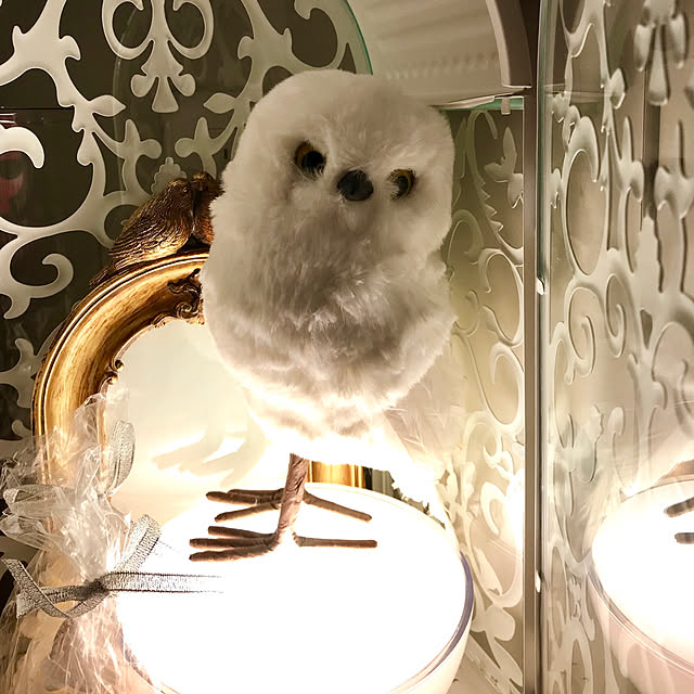 butachanさんの実例写真