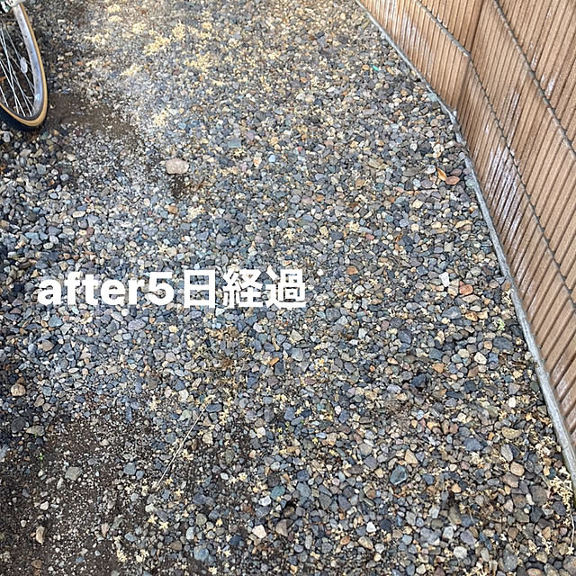 Rさんの部屋