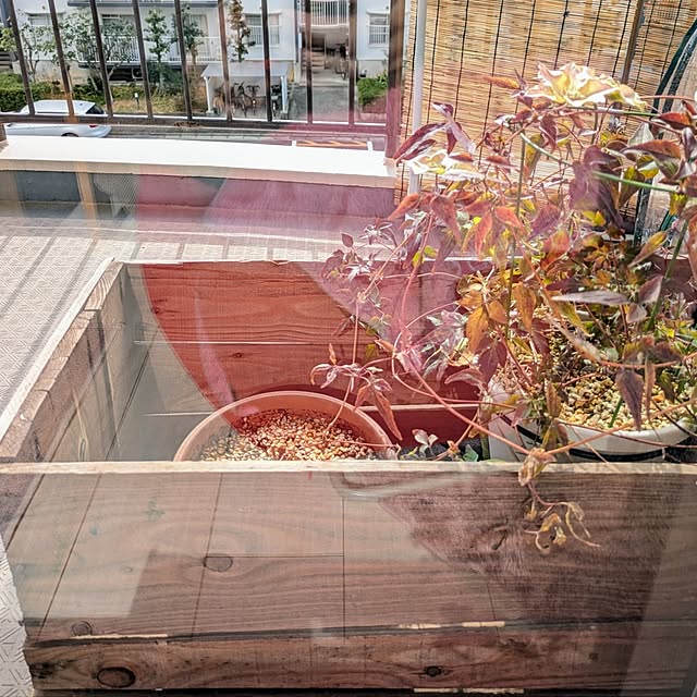 mi-saさんの部屋