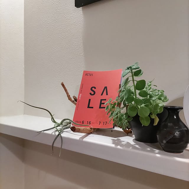 Haさんの部屋