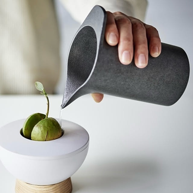 Royal_Gardeners_Clubさんの部屋