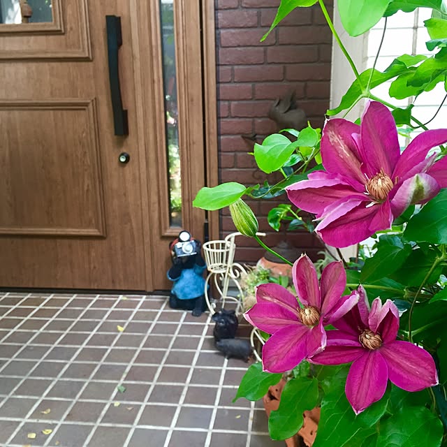 butachanさんの実例写真