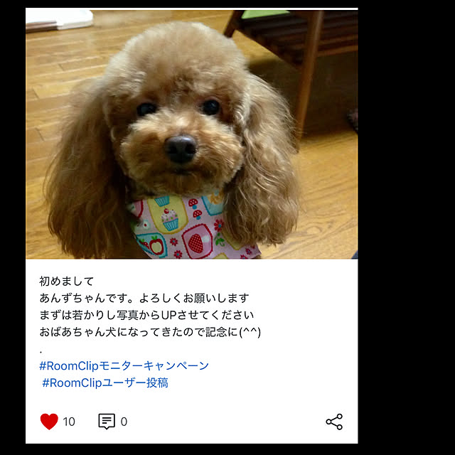 YUMIwancafe84さんの実例写真
