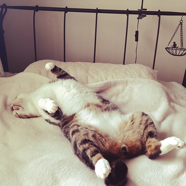 rinさんの実例写真