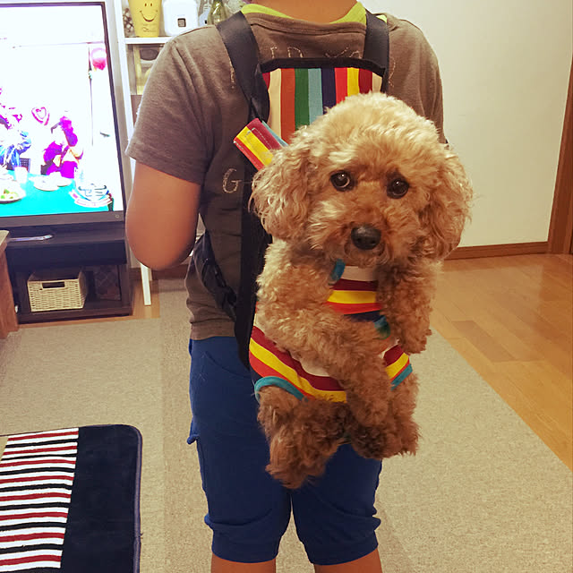 yyy888さんの実例写真