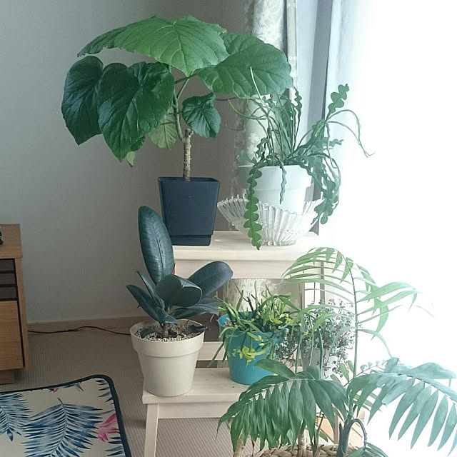 chocococoaさんの実例写真