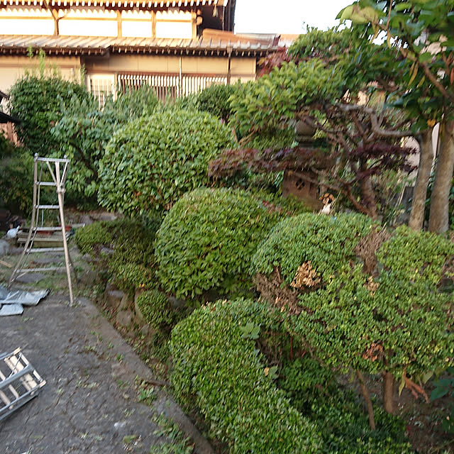 kyoro_designさんの実例写真