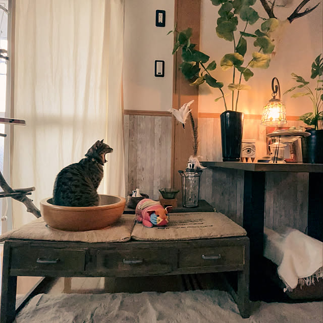 Mさんの実例写真
