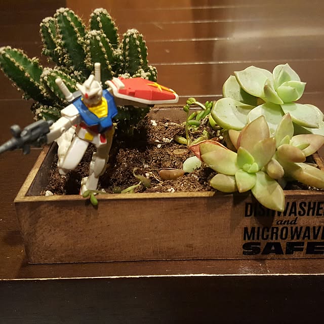 fujikikun.m.comさんの実例写真