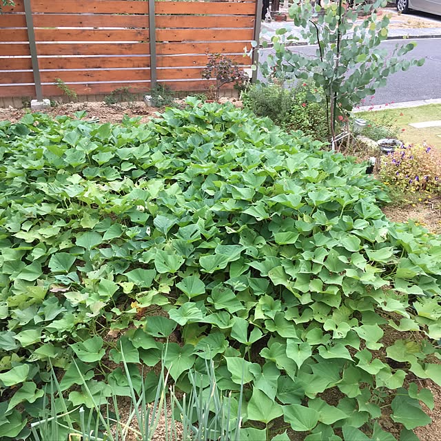 namoonさんの実例写真
