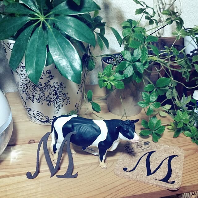 dezさんの実例写真