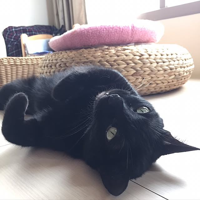Chia-lingさんの実例写真