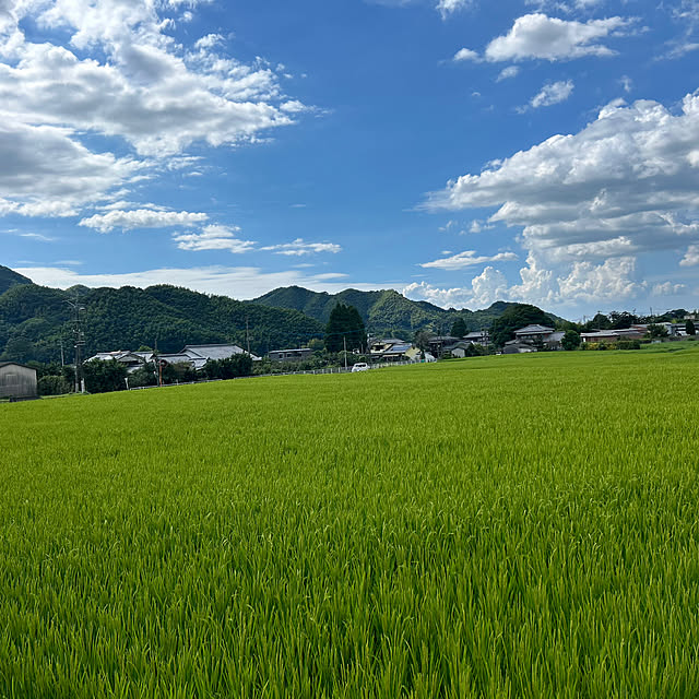 banbinaさんの実例写真