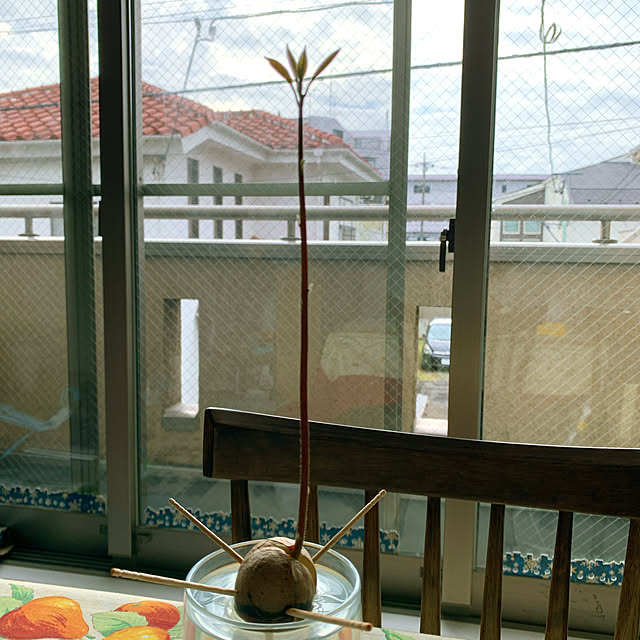 eshinobumさんの実例写真