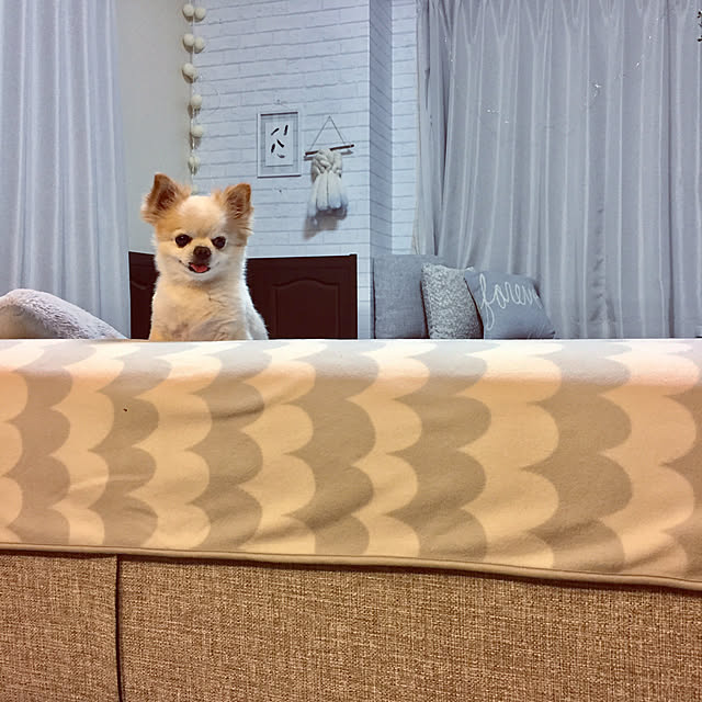 ponさんの実例写真